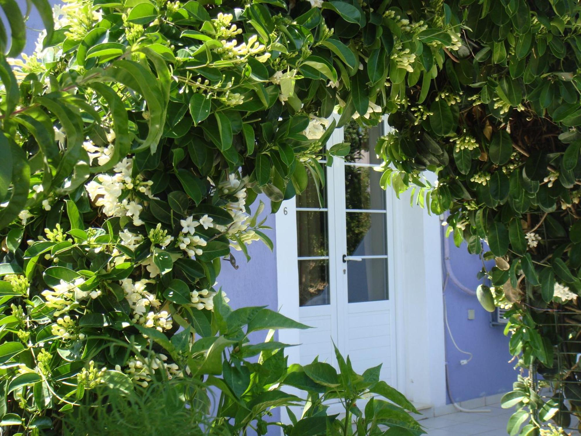 Skala  Villa Eliza מראה חיצוני תמונה
