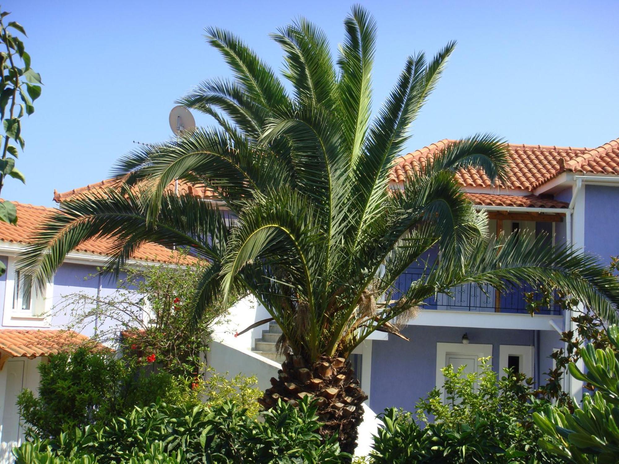 Skala  Villa Eliza מראה חיצוני תמונה